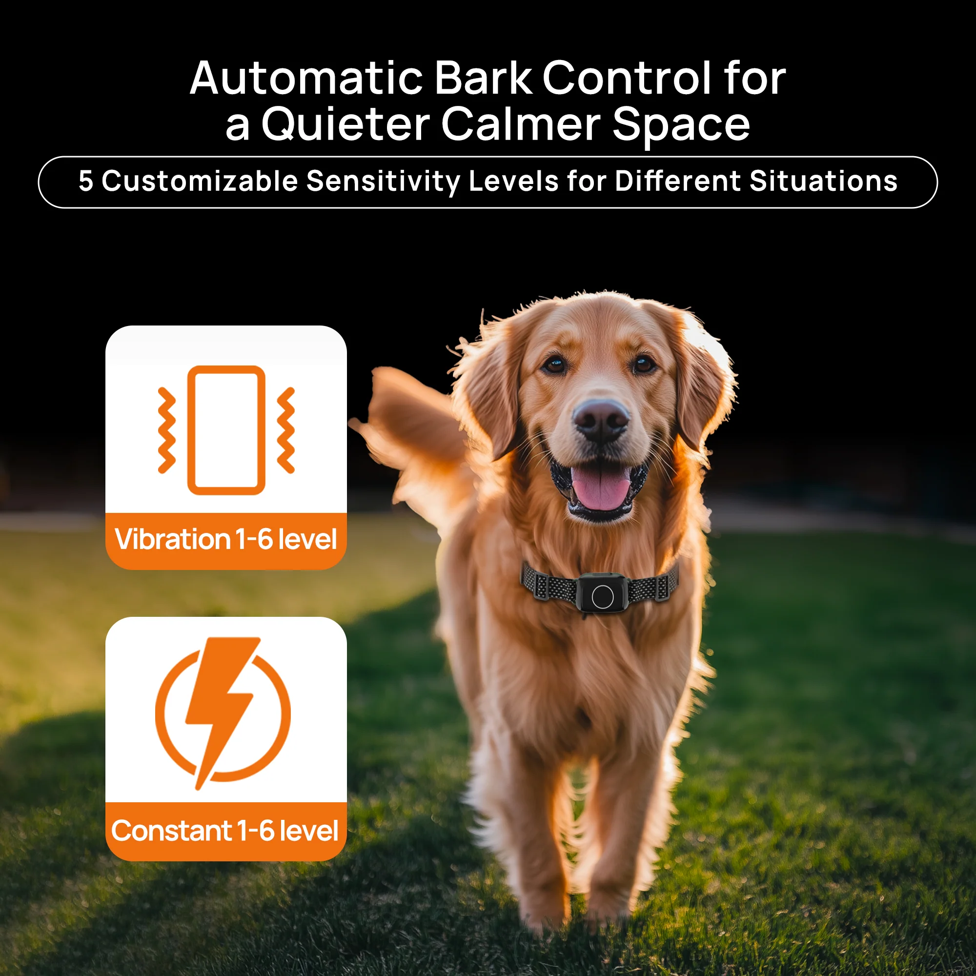 Astko T800 Pro 4-in-1 Wireless Dog Fence System - Image 4