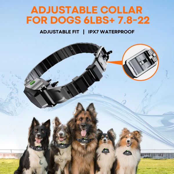 Astko T810 Pro 4-in-1 Wireless Dog Fence and Training System - Image 5