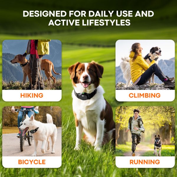 Astko T810 Pro 4-in-1 Wireless Dog Fence and Training System - Image 8