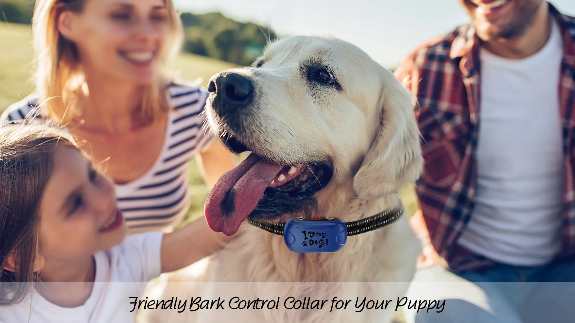 Astko B300 Bark Training Collar - Image 13