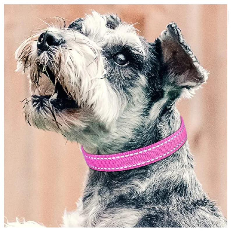 Dog Training Device Replacement Collar  - Image 5