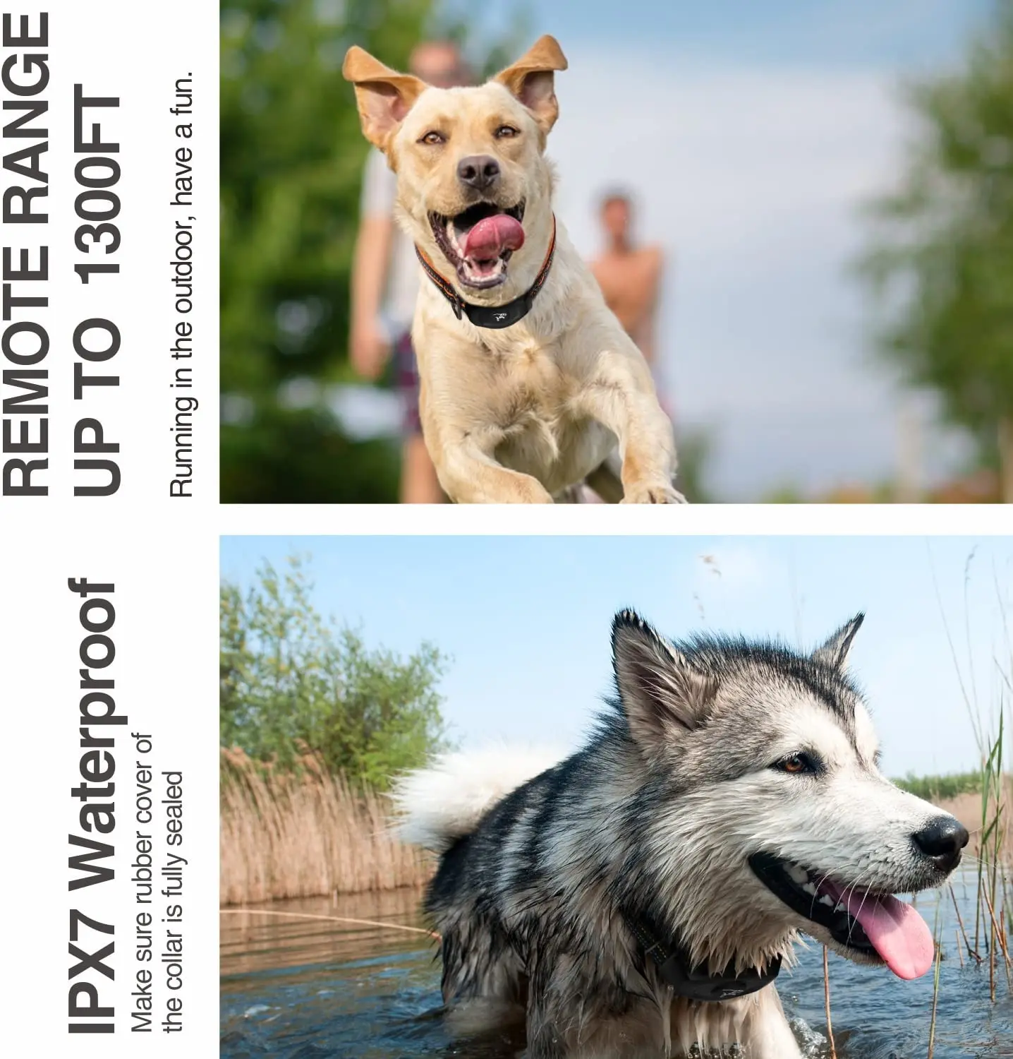 Dog Training Collar - Image 4