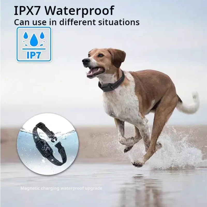 Dog Training Collar with Remote  - Image 5