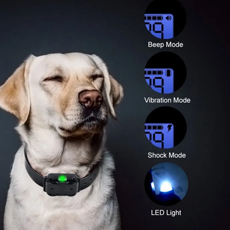 Dog Training Collar (with Remote Control Option) - Image 6