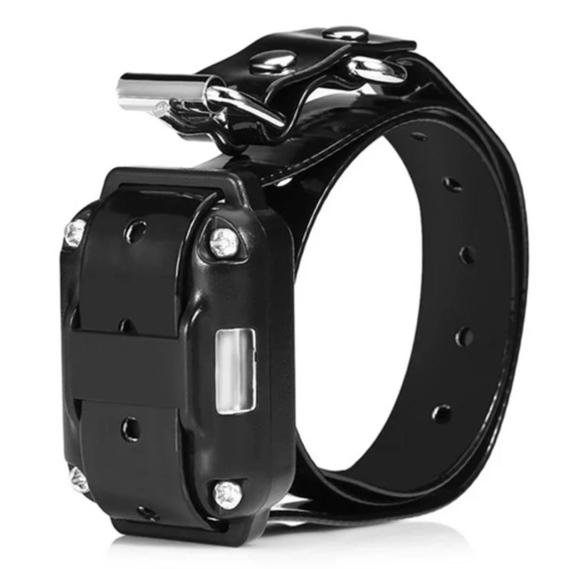 Dog Training Collar (with Remote Control Option) - Image 9