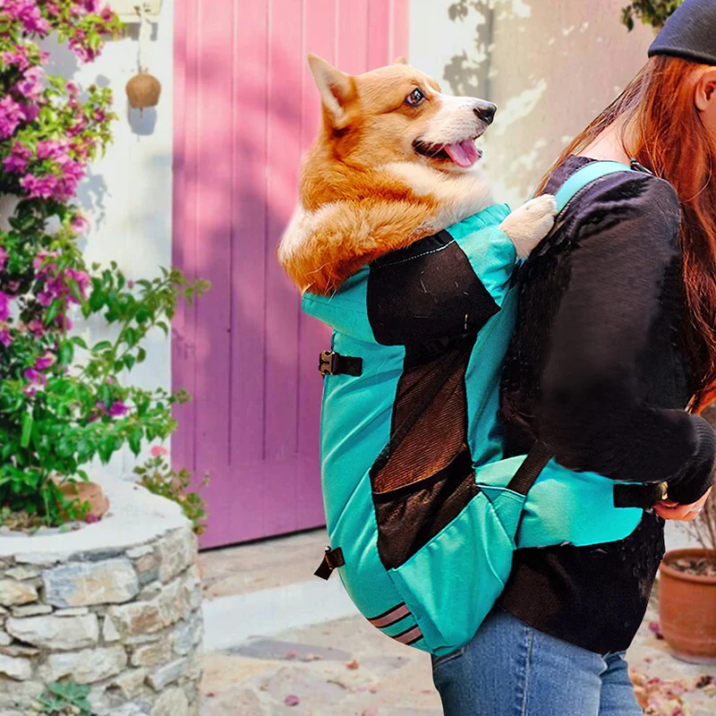 Durable Breathable Pet Travel Carrier Backpack for Small & Medium Dogs - Image 6