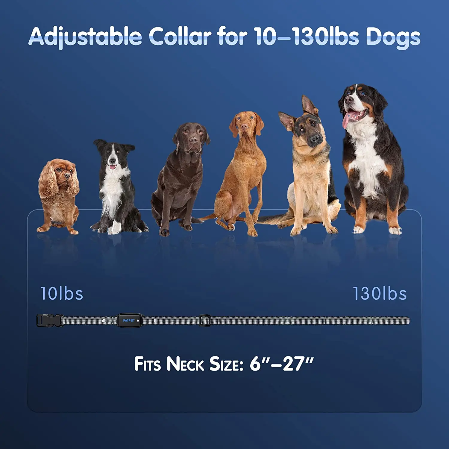 E-collar Dog Training System with LCD Remote - Image 2