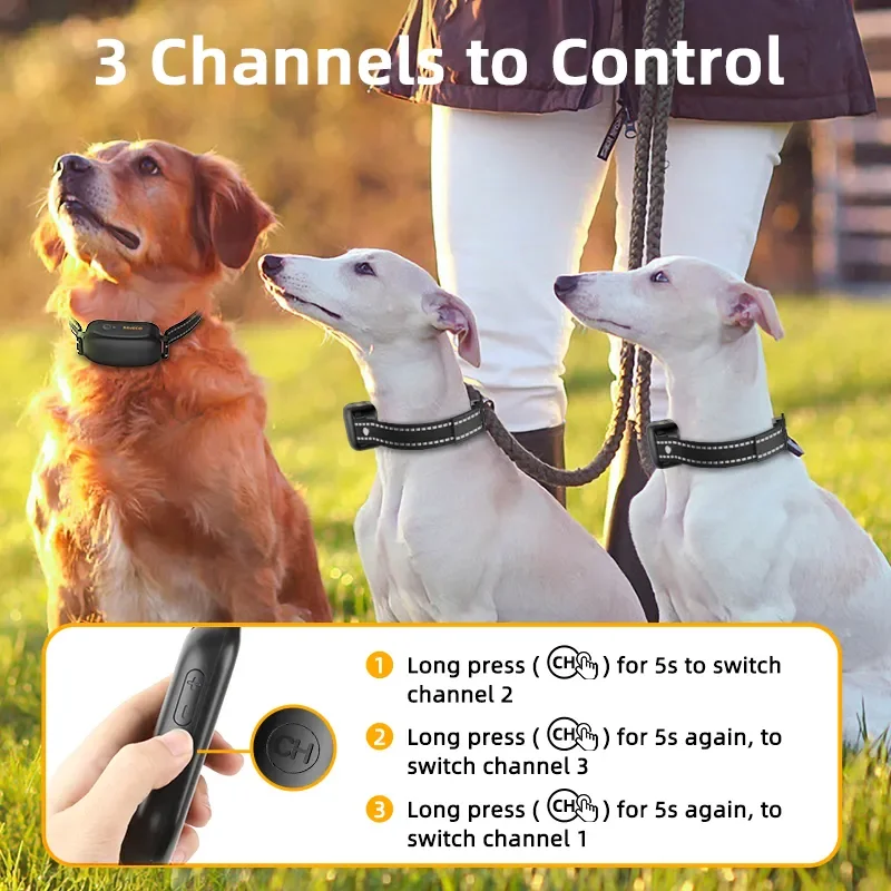 Electric Dog Training Collar Digital Rechargeable Remote Control - Image 6
