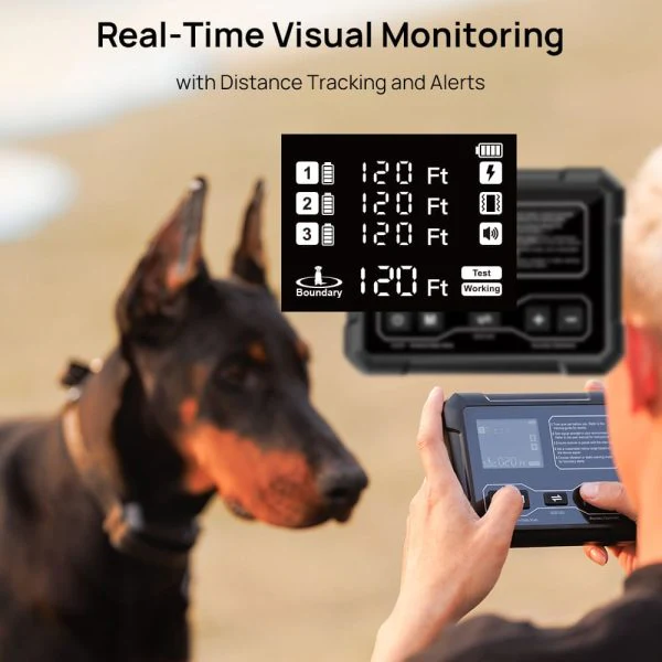 F900 Wireless Dog Fence - Image 12