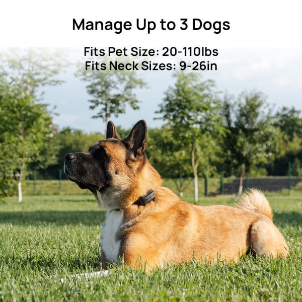 F900 Wireless Dog Fence - Image 17