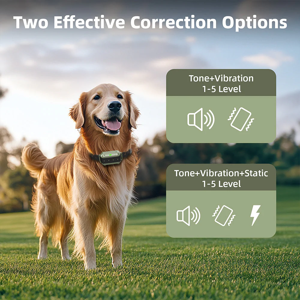F910 Radar Wireless Dog Fence - Image 9