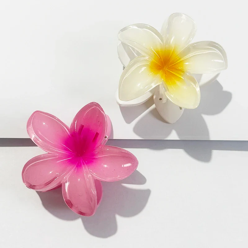 Hawaiian Gradient Hair Claw Clip - Image 11