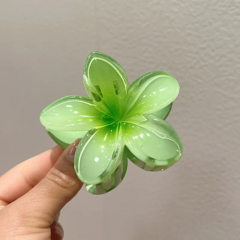 Hawaiian Gradient Hair Claw Clip - Image 23