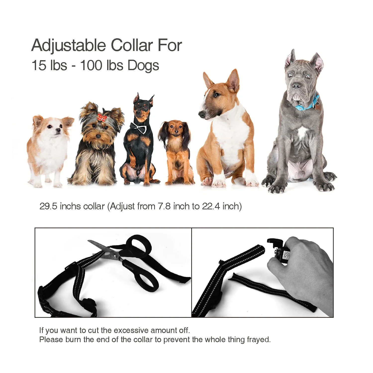 Hunter Dog Training Collar with Beeper - Image 6