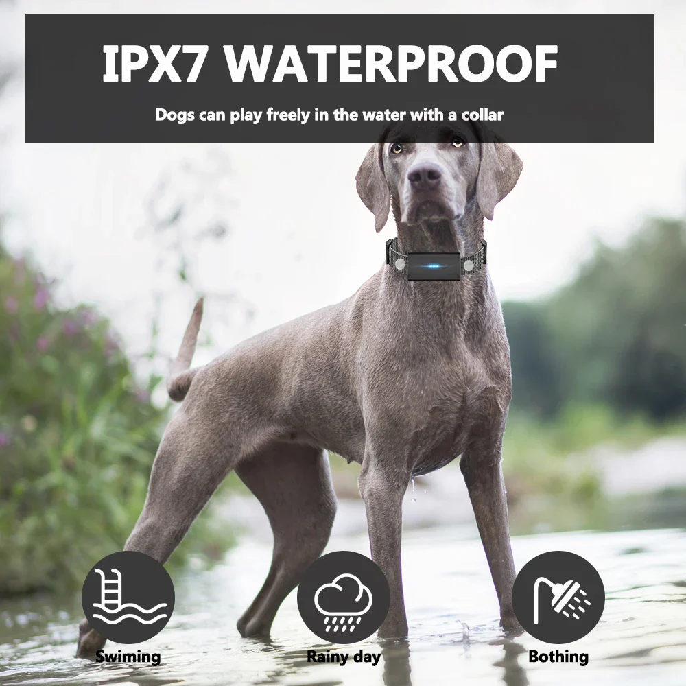 Intelligent Dog Training E-Collar with Remote - Image 4