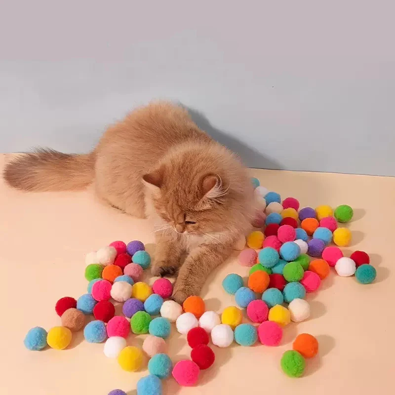 Interactive Cat Training Toy - Image 2