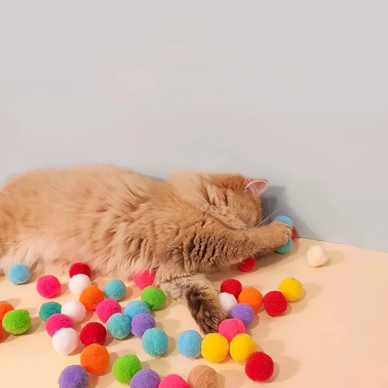 Interactive Cat Training Toy - Image 3