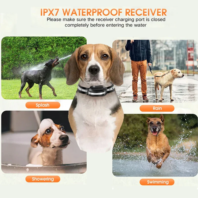 PD518 Dog Shock Collar with Receiver (NO REMOTE CONTROL /TRANSMITTER) - Image 2
