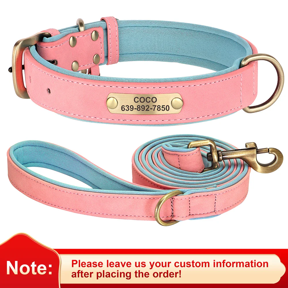 Personalised Dog ID Collar and Leash Set - Image 11