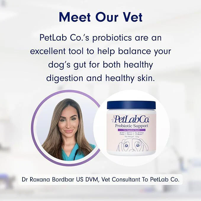 Petlab Co Probiotic Dog Chews Gut Health Support Treats Stop Itchy Skin & Yeast. - Image 2
