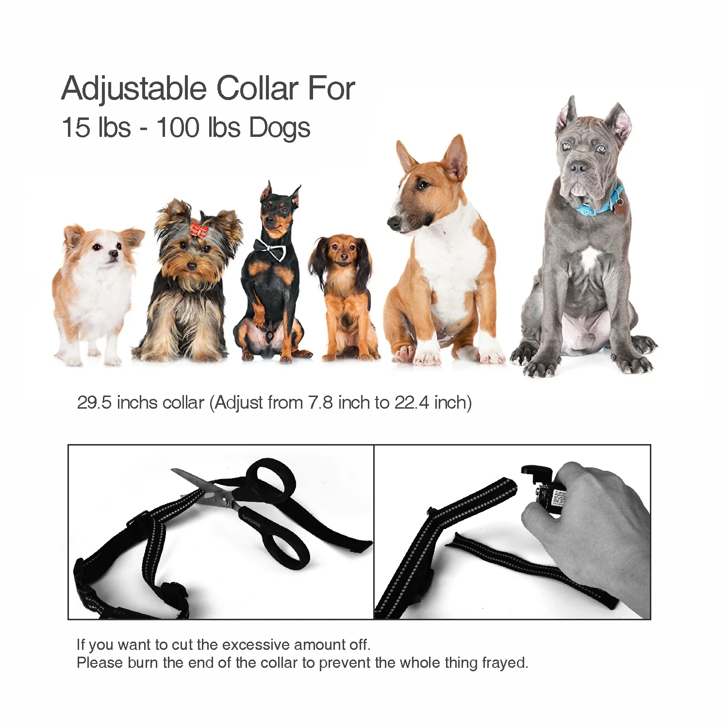 Replacement 2-in-1 Auto Bark Collar for DB600 Dog Training & Bark Collar - Image 5
