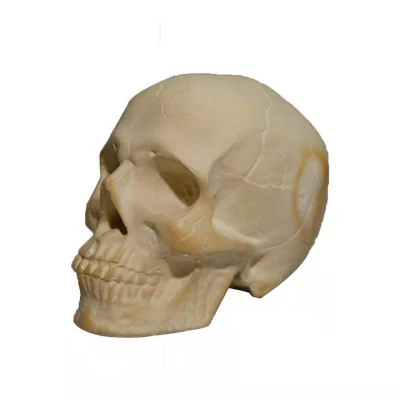 Skull Halloween Barbecue Fire Charcoal briquette - Image 4