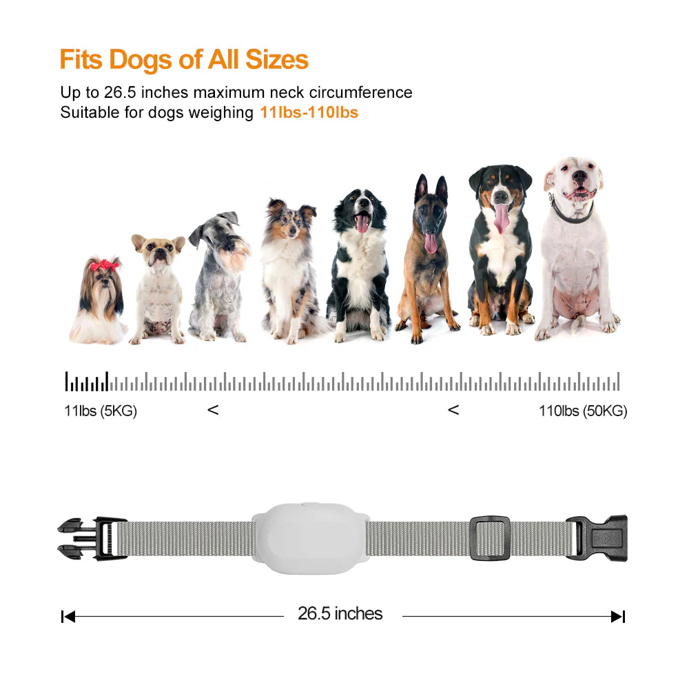 T200 Dog Training Collar - Image 7