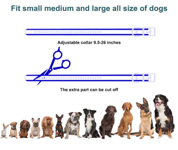 T720 2-in-1 Dog Training Collar (Manual Training + Auto Bark Control) - Image 7
