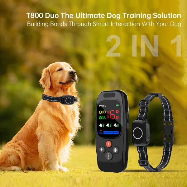 T800 2-in-1 Dog Training Collar