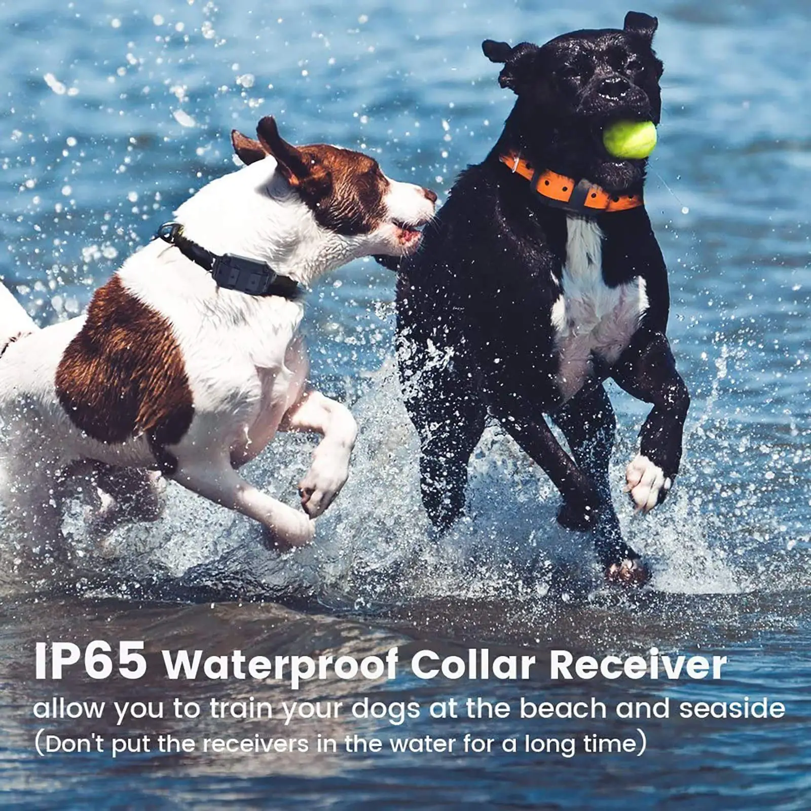 Waterproof Dog Training E-Collar  - Image 5